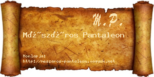 Mészáros Pantaleon névjegykártya